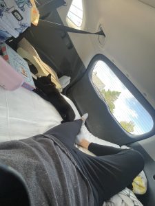 17ygQ_ZSUXtx
